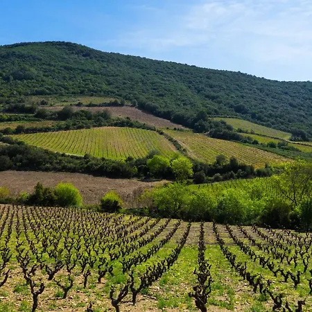 Marquise De Roc Vakantiehuis *